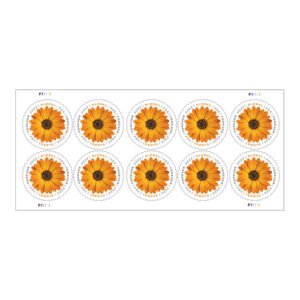 0f4ae288de07cde709042a7132323b6c