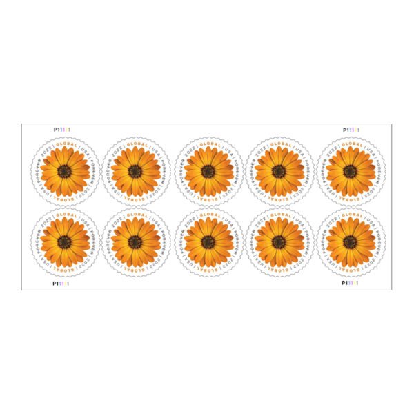 Global: African Daisy Stamps 2022