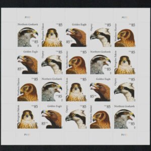 1eb62c0e8bdd208e6aeba386f3a98dea