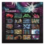 Life Magnified Stamps 2023
