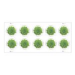 Global: Green Succulent Stamps 2017