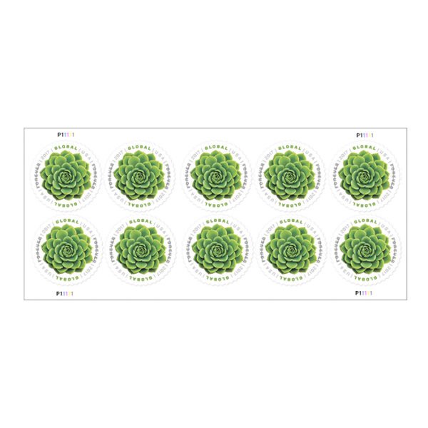 Global: Green Succulent Stamps 2017