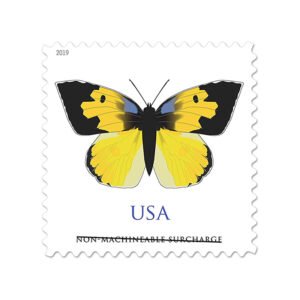 California Dogface Butterfly Stamp 2019