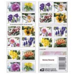Snowy Beauty Stamps 2022