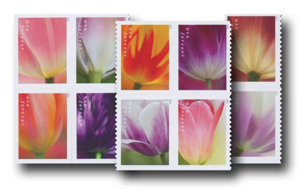 2023 Tulip Blossoms Forever Stamps
