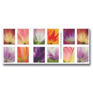 556cc3f067af3ea1caf11fd8c35e34c5