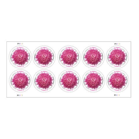 9b7eaf1087122f5a9069d568de35cc8c
