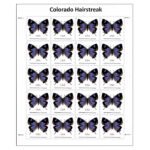 Colorado Hairstreak Stamps 2021Colorado Hairstreak Stamps 2021