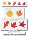 2025 Forever Postcard Rate - Vibrant Leaves (from sheet)