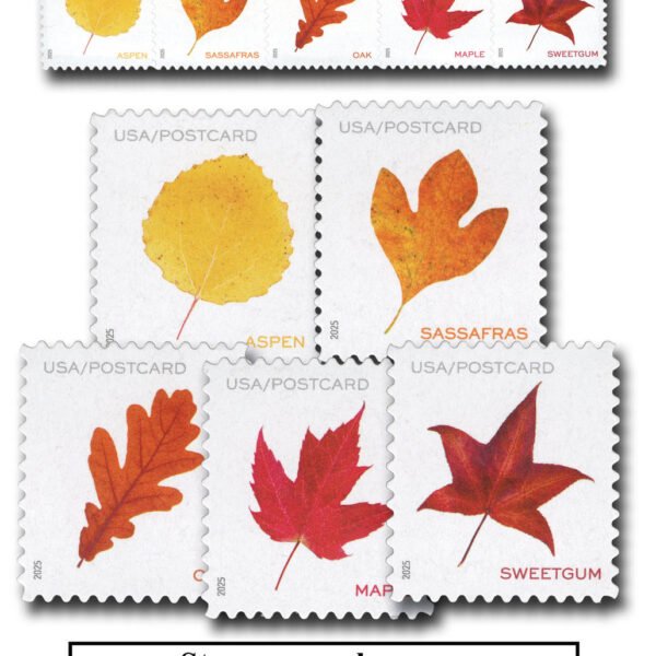 2025 Forever Postcard Rate - Vibrant Leaves (from sheet)