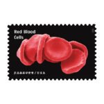 Life Magnified Stamps 2023