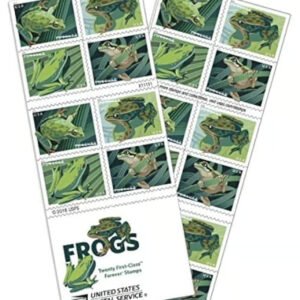 c8b4844fa50d8594074695437bfb6572