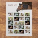 2024 Forever Stamps Imperforate Horses