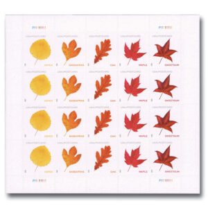 ea2d8fbc5b9c375d8d2c448a13890c77