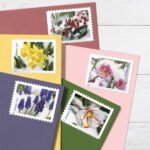 Snowy Beauty Stamps 2022